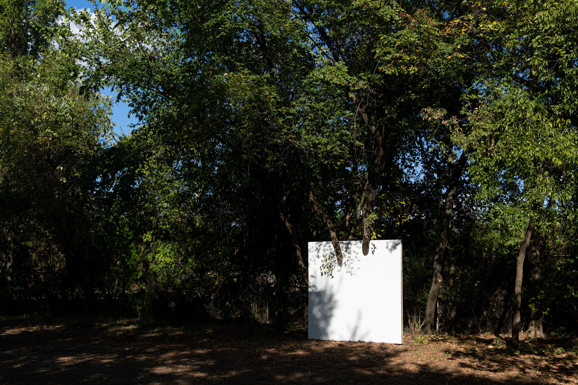 trey burns sweet pass sculpture park letha wilson