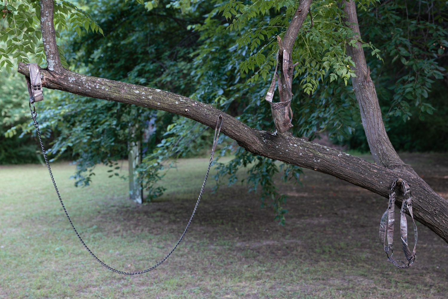 trey burns sweet pass sculpture park